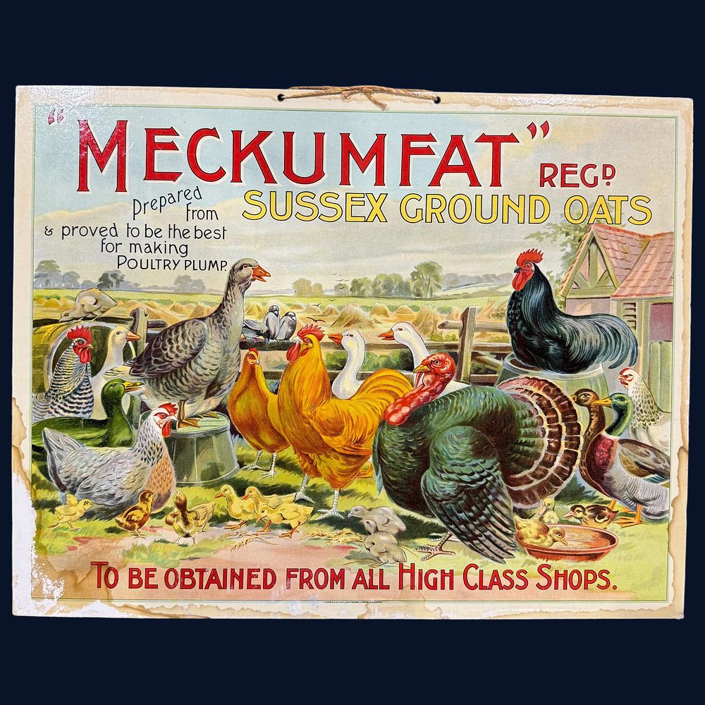 Lot 105: Meckumfat Sussex Ground Oats Advertising Showcard