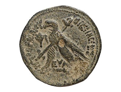 Kings of Egypt: Ptolemy VI Philometor, First sole reign, 180-170 BC. Bronze Æ Obol. Cyprus mint