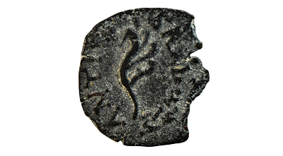 Askalon mint. Antiochos VII Euergetes 138-129 BC. Ascalon (Æ) bronze coin. Weight 1.18 gram
