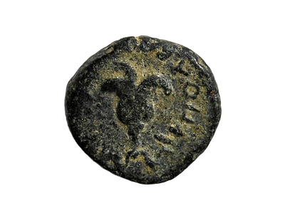 Interesting Bronze (Æ) Coin with Flower. Weight 2.37 gram, Diameter 13 mm. Descriptions of the
