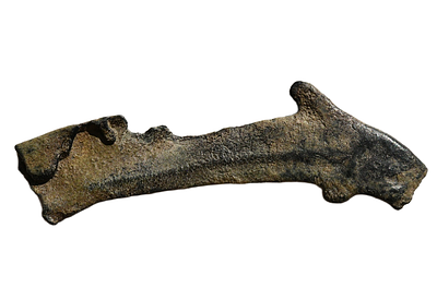 דולפין ברונזה - יחידה מוניטרית, קודמת ליצירת המטבעות. אולביה, סקיטיה (אזור הים השחור) מאה 5 