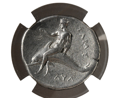 קלבריה, טרנטום. בערך 302–280 לפנה"ס. נומוס כסף (AR Nomos). מצב XF (מצויין). תעודת (בתוך קופסת) 