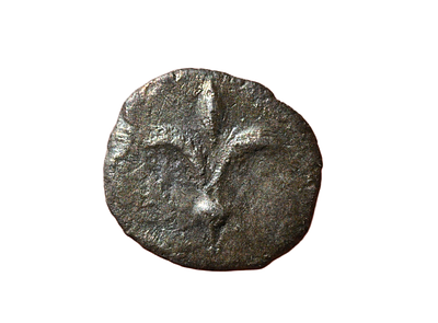 יהודה, אימפריה פרסית אחמנית פחוות (יהוד) 375-332 לפנה"ס. מטבע כסף "יהד" עם שושן! מטבעת ירושלים. 