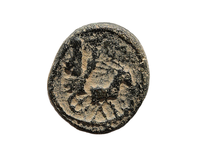 פיניקיה, צידון, תקופה פרסית אחמנית 401–333 לפנה"ס. מטבע ברונזה שנהוג לכנותו "חצי שקל מברונזה". 