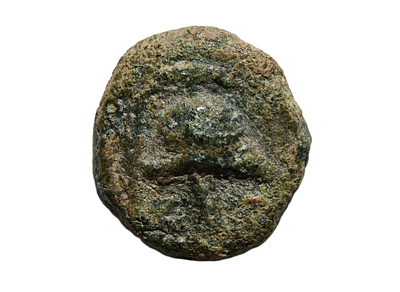 מטבעת אשקלון, אנטיוכוס השביעי 138-129 לפני הספירה. מטבע ברונזה. משקל 1.31 גרם, קוטר 12 מ"מ. תיא 