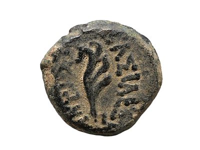 מטבעת אשקלון, אנטיוכוס השביעי 138-129 לפני הספירה. מטבע ברונזה. משקל 1.17 גרם, קוטר 12 מ"מ. תיא 