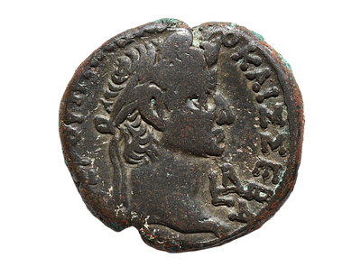 מצריים, אלכסנדריה, גלבה 68-69 לספירה (מלחמת אזרחים). מטבע סגסוגת כסף. משקל 12 גרם, קוטר 25 מ"מ. 