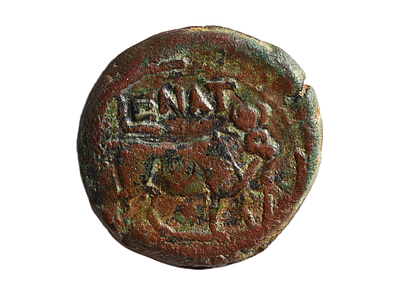 מצריים מטבעת אלכסנדריה, דומיטיאנוס (דומיטיאן) 81-96 לספירה. משקל 9.27 גרם, קוטר 25 מ"מ. תיאור 