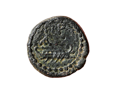 יהודה מטבע עיר אשקלון, קיסר אספסיאנוס (וספסיאן) 69-79 לספירה. מטבע ברונזה. משקל 3.26 גרם, קוטר 