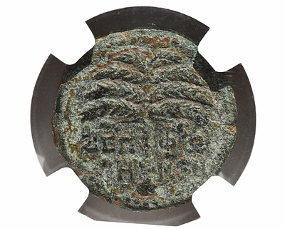 יהודה, ציפורי (ארץ ישראל). מטבע עיר מברונזה, קיסר טראיאנוס 117-138 לספירה. תעודת (בתוך קופסת) 