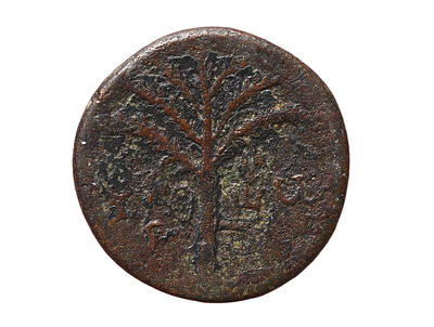 יהודה, מרד בר כוכבא 132-135 לספירה. מטבע ברונזה שנת ב מטבעת ירושלים. משקל 8.90 גרם, קוטר 25 מ"מ. 