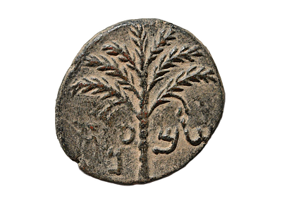 יהודה, מרד בר כוכבא 132-135 לספירה. מטבע ברונזה שנת ג למרד, מטבעת ירושלים. משקל 10.50 גרם, קוטר 