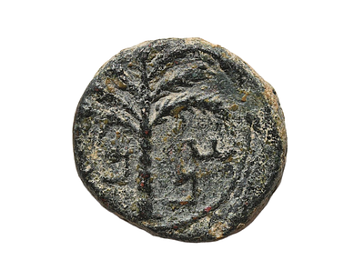 יהודה, מרד בר כוכבא 132-135 לספירה. מטבע ברונזה שנת ג למרד, מטבעת ירושלים. משקל 4.78 גרם, קוטר 