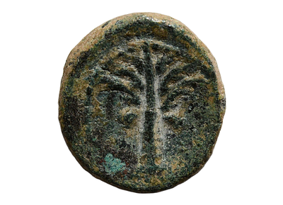 מטבע קטן / מינימה מעניינת יש להניח מתקופה רומית, מאות 1 - 2 לספירה. משקל 1.04 גרם, קוטר 12 מ"מ. 