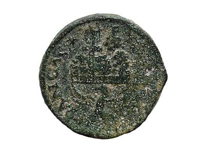 יהודה ושומרון, מטבעת שכם (נאפוליס - מטבע עיר ברונזה ארץ ישראלי) טרבוניאנוס גאלוס 251–253 