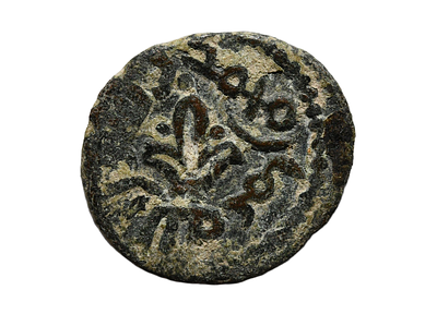 שושלת אומיית מאה 8 לספירה. מטבע ברונזה איסלאמי, עם פרח שושן. משקל 1.98 גרם, קוטר 18 מ"מ. תיאור 
