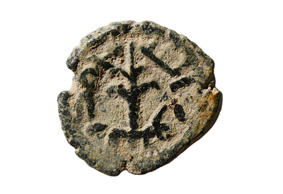 שושלת אומיית מאה 8 לספירה. מטבע ברונזה איסלאמי, עם ענף דקל. משקל 2.98 גרם, קוטר 18 מ"מ. תיאור 