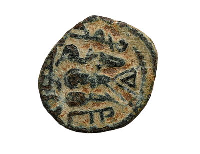 שושלת אומיית מאה 8 לספירה. מטבע ברונזה איסלאמי, עם יונה. משקל 2 גרם, קוטר 18 מ"מ. תיאור טיפוס 