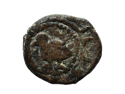 שושלת אומיית מאה 8 לספירה. מטבע ברונזה איסלאמי, עם ברווז. משקל 3.74 גרם, קוטר 16 מ"מ. תיאור 