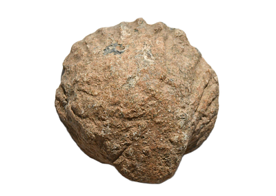 משקולת עופרת בצורת צדף (קונכיה), יוונית הלניסטית מאות 4-1 לפני הספירה. משקל 76.46 גרם, קוטר 35 מ"מ.