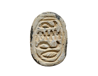 חותם חרפושית כנעני / מצרי תקופת ביניים השנייה / החיקסוס מאות 16-18 לפני הספירה. סטיאטיט, אורך 