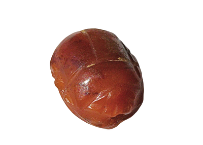 מצרים / דיר אל-בלח: קמיע חרפושית מאבן קרנליאן (קרניול), מאות ה־20–15 לפנה״ס. גודל 12 מ"מ. תיאור 