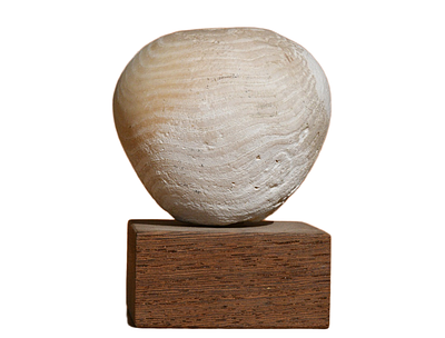 ראש אלה מאבן אלבסטר, תקופה כלקוליתית (תקופת הנחושת), כנעני/מצרי, האלף ה 4 לפנה״ס. קוטר 59 מ"מ. ת 