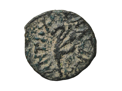 Askalon mint. Antiochos VII Euergetes 138-129 BC. Ascalon (&AElig;) bronze coin. Weight 1.50 grams 