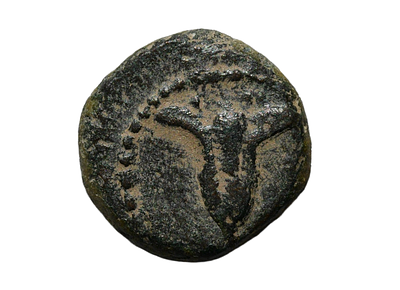 Judaea John Hyrkanos I (YEHOHANAN) and Antiochos VII Euergetes 138-129 BC. AE Prutah Hasmonean 