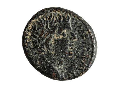 Caesar Tiberius 14-37 AD. Seleucis and Pieria. Antioch. (&AElig;) bronze coin. Weight 8.09 gram, Size 