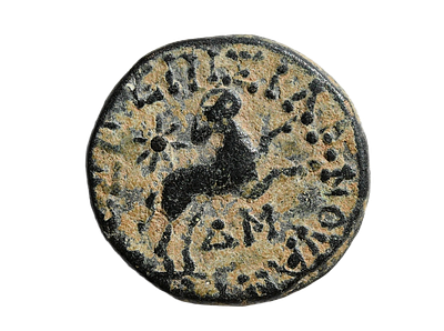 “Star of Bethlehem” Seleucis and Pieria, Antioch mint 13/14 AD. Bronze coin under Caesar 