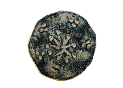 Islamic Bronze Weight with Flower 7-9 century AD. Weight 4.19 gram, Size 13 mm. Descriptions of 