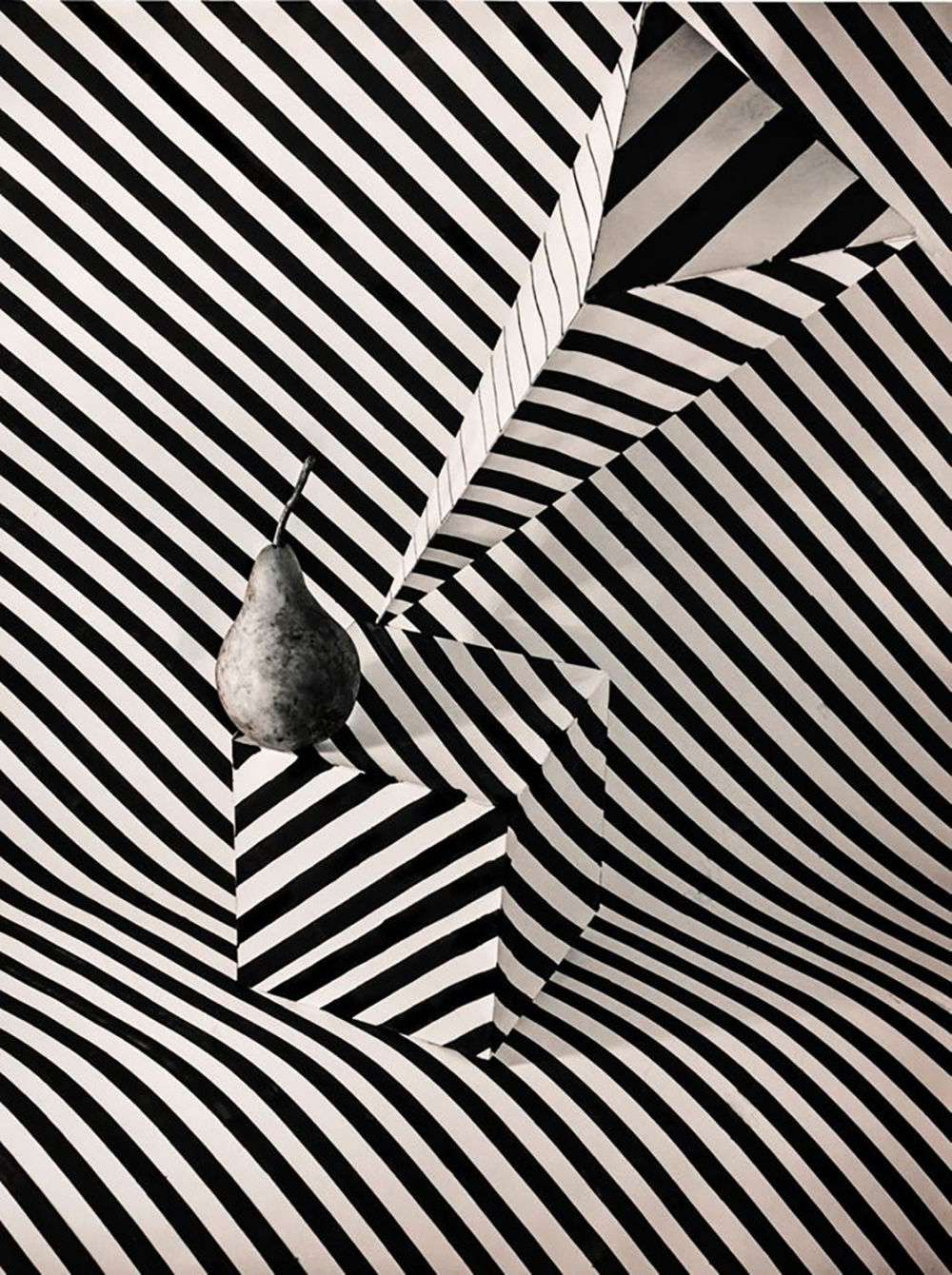 Михаил Каламкаров - Груша Вазерели. 50х67 см., 2020 г. архивная пигментная печать, бумага 