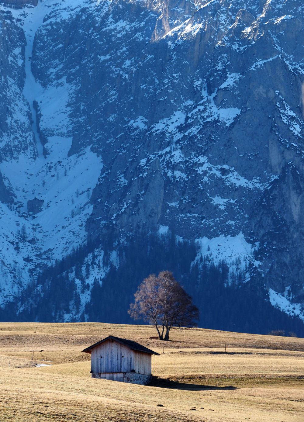Михаил Геллер - АЛЬПИЙСКИЙ ПЕЙЗАЖ. 40х30 см пигментная печать. 
Профессиональный фотограф, член 
