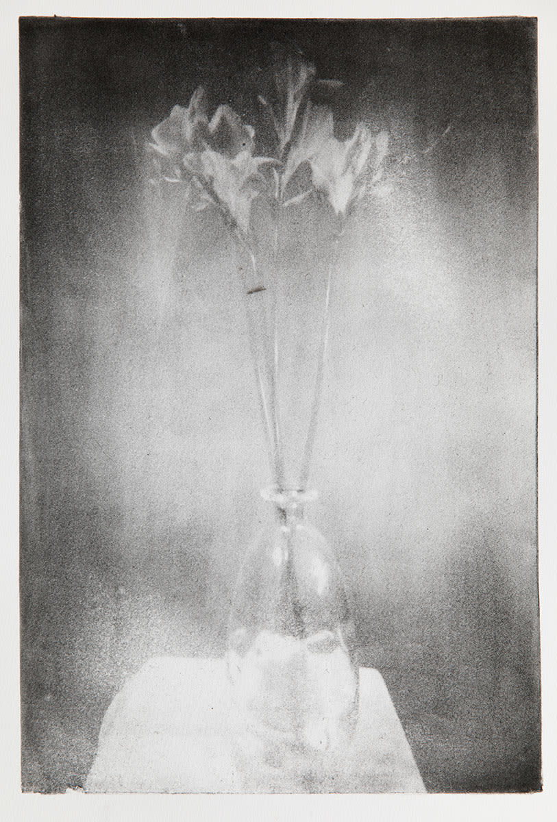 Артурас Ионаускас - Фрезии. Фототипия 38х25. 2015. Бумага 100% хлопок, офортная краска. 
Фотограф 