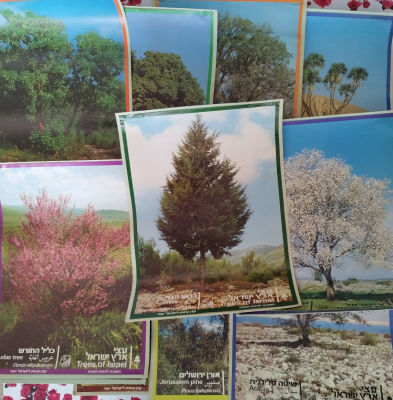 לוט עשר כרזות קק"ל עצי ארץ ישראל.