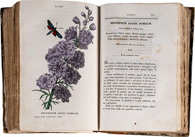 Piccioli Antonio - L'antotrofia ossia la coltivazione de' fiori - Piccioli Antonio - L'antotrofia 