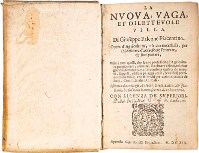 Falcone Piacentino Giuseppe - La nuova, vaga, et dilettevole villa - Falcone Piacentino Giuseppe - 