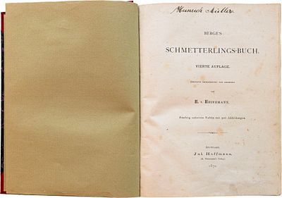 Fr. Berge - Schmetterlings-buch (il libro delle farfalle) - Fr. Berge - Schmetterlings-buch (il 