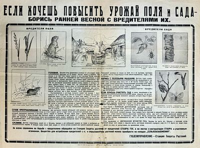 Плакат. ЕСЛИ ХОЧЕШЬ ПОВЫСИТЬ УРОЖАЙ ПОЛЯ И САДА. 1929 г. Плакат. ЕСЛИ ХОЧЕШЬ ПОВЫСИТЬ УРОЖАЙ 