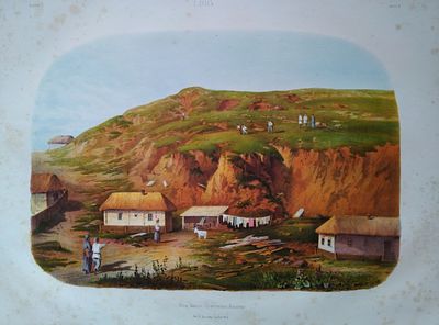 гравюра (раскрашенная) ХIХ век размер 40 х 60 см