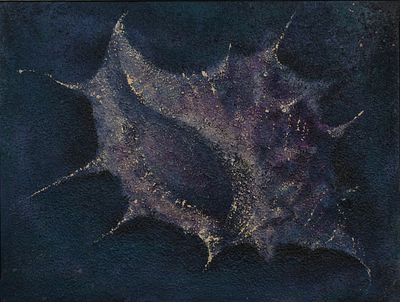 Неизвестный художник Рапана 
холст масло 60Х80 см.