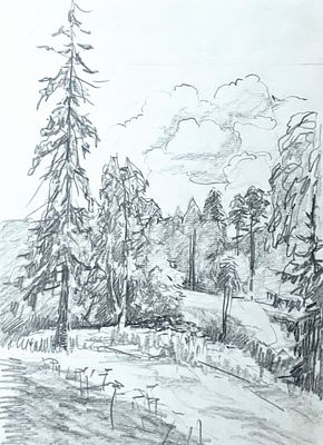 Неизвестный художник.ученик Шишкина ?? Лес.1930-40 . Бумага, графитный карандаш. 19,5Х14,5 см. 