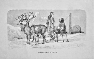 Гравюра. Якутская нарта. XIX век. Размер: 12Х19 см (лист); 7,5Х15,5 см (гравюра).
