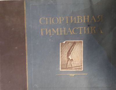 Спортивная гимнастика. Наглядное учебное пособие по классификационной программе для мужчин. 