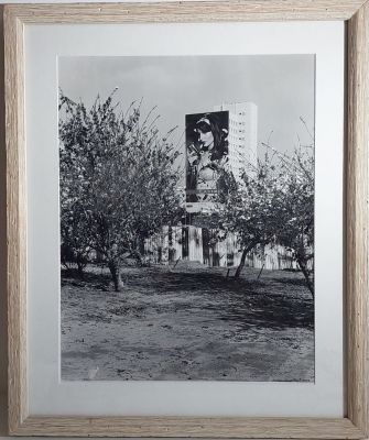 אמן לא מוהה - שלט חוצות של קסטרו . צילום 36X44 . חתום בפלטה