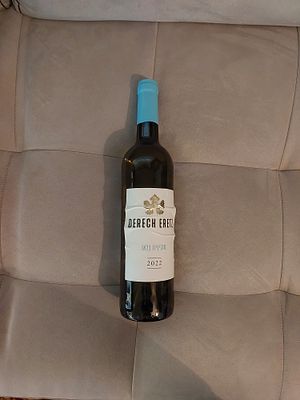 לבן - דרך ארץ סוביניון בלאן 2022,היין נשמר במקרר בטמפרטורה מבוקרת .מכירת אלכוהול אך ורק לאנשים 