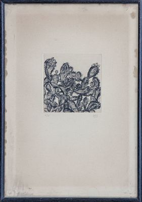 אמן לא מזוהה - קקטוס. תחריט במהדורה מצומצמת, 10x9 ס"מ, חתום "WEB" וממוספר 6/10.