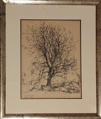 אסתר לוריא - עץ. רישום על נייר 25X33 חתום .1966