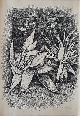 NACHUM GILBOA - 
* . 
. Technique: INK Size: 35X25